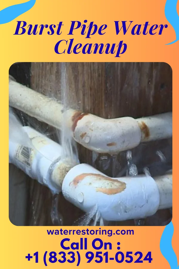 Burst Pipe Water Cleanup in Manitou, OK