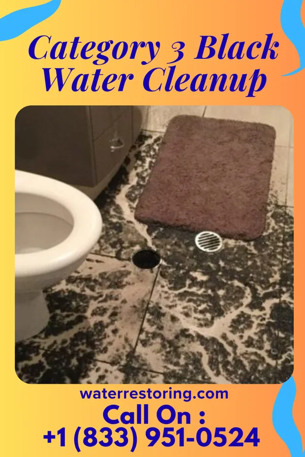 Category 3 Black Water Cleanup in Manitou, OK