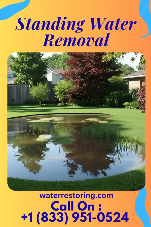 Standing Water Removal in Manitou, OK